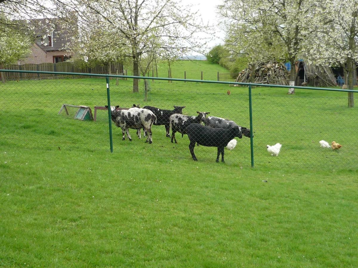 Hoeve Mingels Banholt Eksteriør bilde