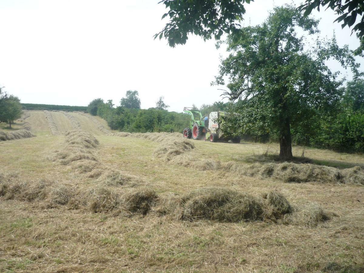 Hoeve Mingels Banholt Eksteriør bilde